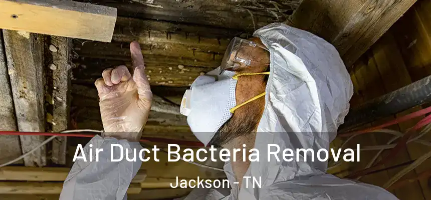  Air Duct Bacteria Removal Jackson - TN