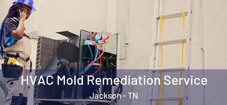  HVAC Mold Remediation Service Jackson - TN
