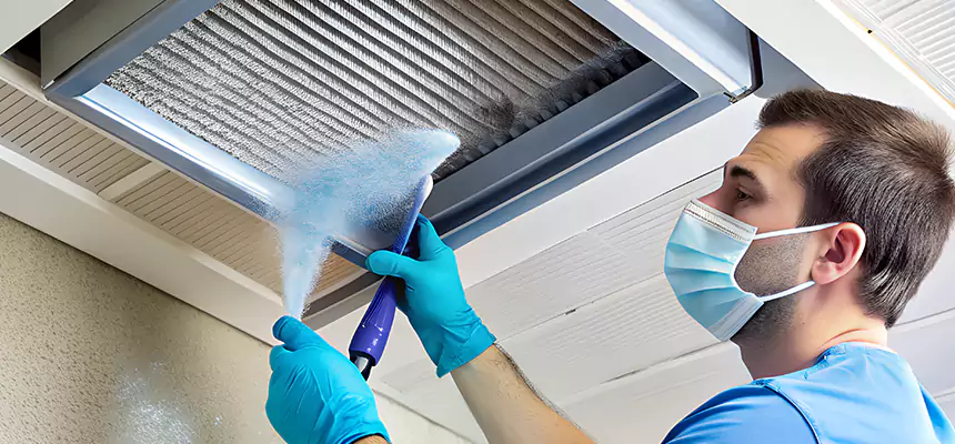 Proactive Dryer Vent & Auxiliary Duct Pollen Cleanup in Jackson, TN
