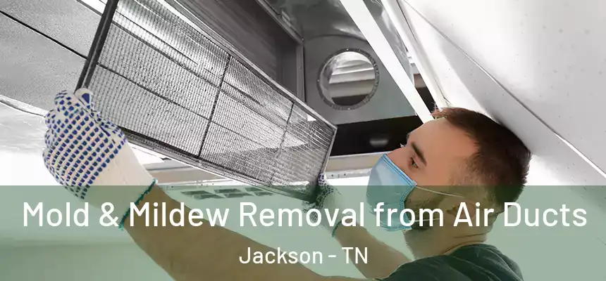  Mold & Mildew Removal from Air Ducts Jackson - TN