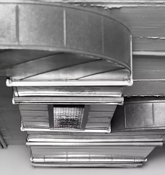 Professional Air Duct Pet Hair Removal in Jackson, TN