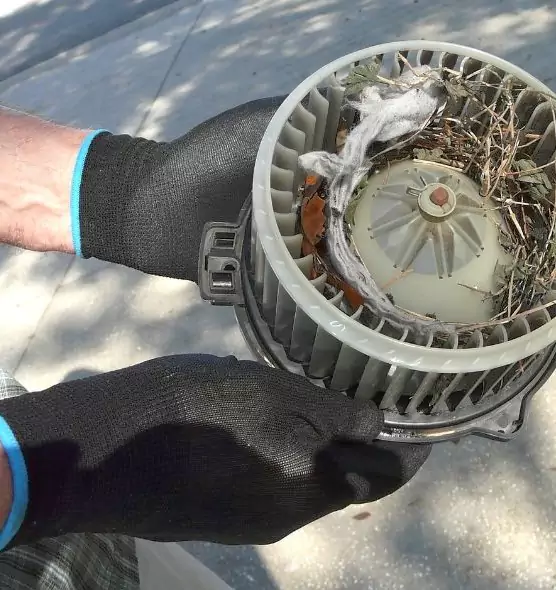 About Air Duct Rat Removal in Jackson, TN