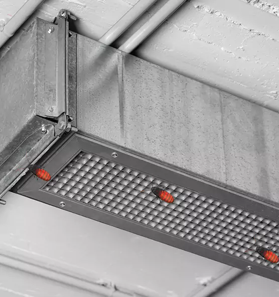 Affordable Insect Removal from Air Ducts in Jackson, TN