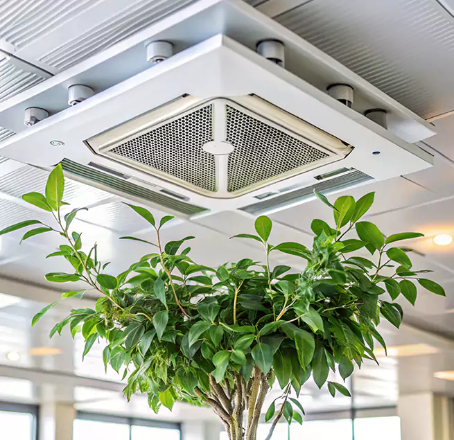 Why Homeowners & Businesses Trust Us in Jackson, TN