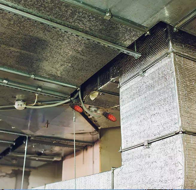 Why Homeowners & Businesses Trust Us Jackson, TN?