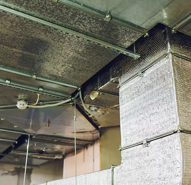 Why Homeowners & Businesses Trust Us in Jackson, TN?